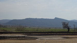DSC03281